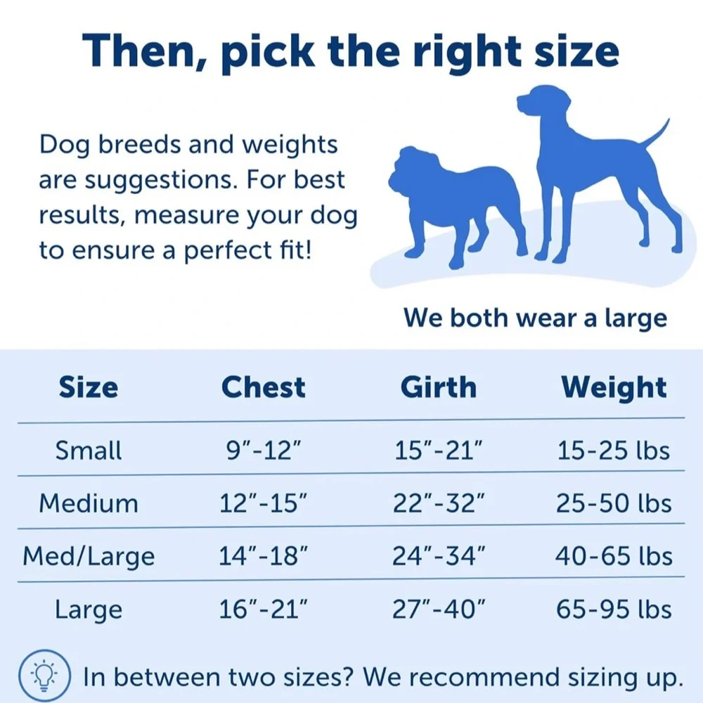 PetSafe, Easy Walk Deluxe Dog Harness, No Pull Dog Harness – Medium/Large, Rose